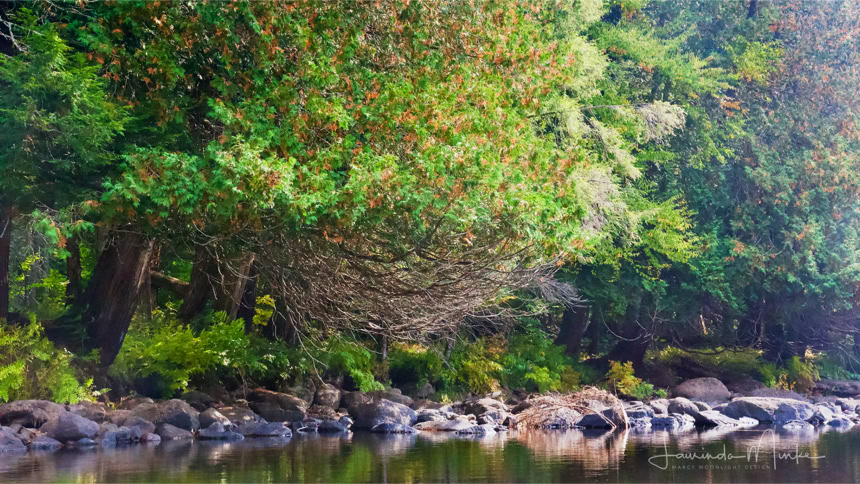 Hudson River Fall Day Trip