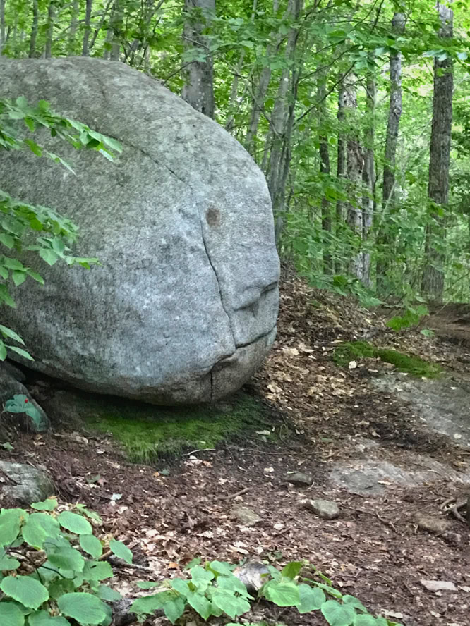 Rock Face on Goodnow Mt Trail